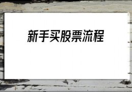 新手买股票流程(新手怎样炒股票入门)