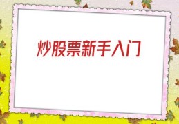 炒股票新手入门(炒股票新手入门基础知识)