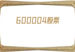 600004股票(600004白云机场股票)