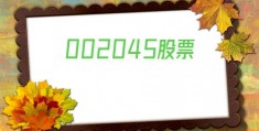 002045股票(002045股票行情)