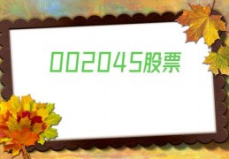 002045股票(002045股票行情)