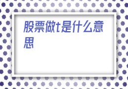 股票做t是什么意思(股票是t0还是t1)
