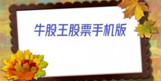 牛股王股票手机版(牛磨王股票安卓系统软件)