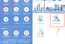 查询保险用什么软件查询最准确(查询保险用什么软件查询最准确的)