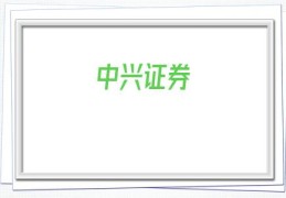 中兴证券(中信证券官网软件下载)