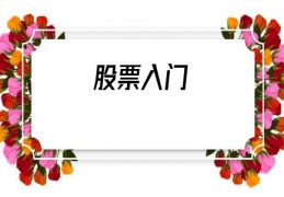 股票入门(股票入门视频教程)